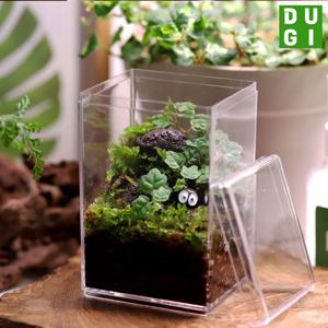 제주애기모람 테라리움 만들기 DIY 키트 높은직사각 비단이끼 키우기 비바리움