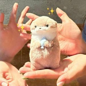 수달 왕 키링 인형 열쇠고리 백꾸 키홀더 동물