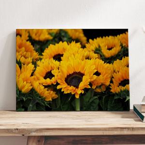 감성사진 풍경 해바라기 여름 감성 인테리어 그림액자 / 01.Golden Mood