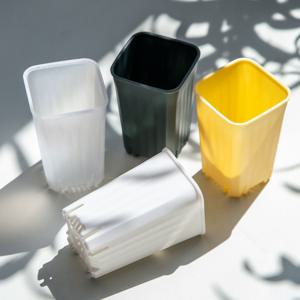 파스텔 미니 롱슬릿 화분 슬릿분 삽목 모종 화분 5호 SP05