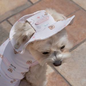 강아지썬캡 애견모자 쿨링테디캡 핑크 (B100_PK)