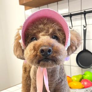핑크 체크 레이스 강아지모자 썬캡