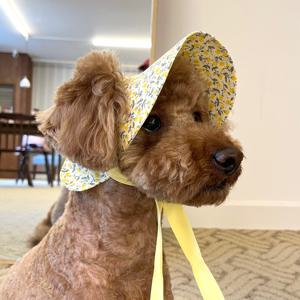 옐로우 플라워 강아지모자 썬캡 눈보호