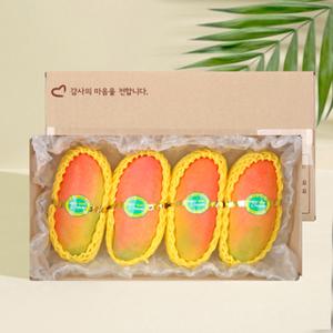 프리미엄 태국 무지개망고 실속세트 1.4Kg (4과)