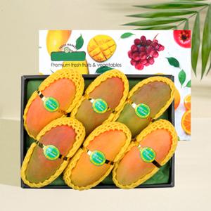 프리미엄 태국 무지개망고 선물세트 2.1Kg (7과내)