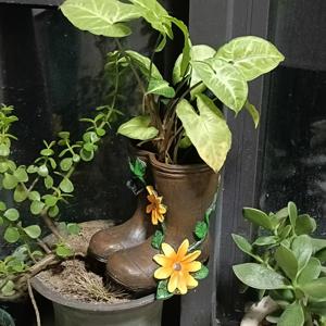 TEMU 빈티지 미국 컨트리 오래된 스타일 부츠, 꽃 화분과 다육식물 정원용 장식품, 발코니 및 테라스용 장식