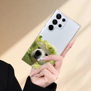 TEMU 남녀 모두에게 적합한, 유니크하고 트렌디한, 스타일리시하고 간단한, 아름다운, 그리고 멋진 개 테마 TPU 투명 폰 케이스, SAMSUNG Galaxy A05/A15/A14/A34/A52/A53/A54/S23/A32/A25/S20/S21/24 Fe/Ultra/4G/5G와 호환 가능합니다.