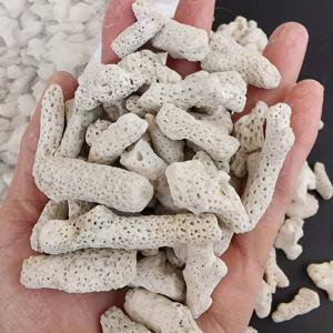 TEMU 200g/0.44lb 수조 장식 산호 모래, 수족관 수조 필터링된 바다 산호석, 수족관 재료 천연 산호 뼈 산호 모래, 수조 장식 바닥 모래, 다양한 품종