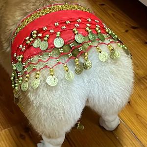 TEMU 1 빛나는 밸리 댄스 강아지 의상, 행운을 가져다주는, 꼬리 흔드는 재밌는 반려동물 의상, 소형, 중형, 대형견 및 고양이에 적합, 귀여운 강아지 스카프, 조절 가능한 파티 반다나, 세탁 가능한 삼각형 턱받이