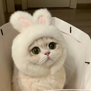 TEMU 1pc 토끼 귀 고양이 모자, 부활절 테마 애완동물 의상, 원단 세트, 고양이와 작은 개에 적합, 편안한 원단, 기계 세척 가능, 폴리에스터 섬유 풀오버 애완동물 헤드기어, 고양이와 개 역할 연기 및 사진 촬영에 적합, 장난감, 작은 개, 고양이 메이크업에 적합