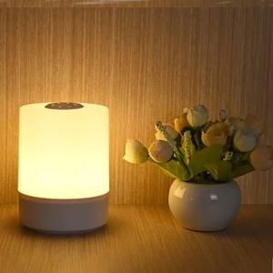 TEMU 1pc 현대식 조절 가능한 LED 터치 야간 조명 3가지 색온도 - USB 전원, 터치 제어, 침실, 공부실, 거실, 캠핑 및 사무실에서 읽기에 이상적, 침실용 LED 조명