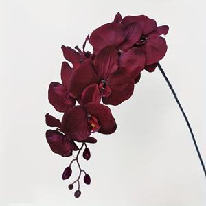 TEMU 8개의 인공 난초 부케 - 블랙, 그레이블루, 버건디 나비난초와 리얼리스틱한 꽃잎 디테일, 퇴색하지 않는 플라스틱 홈 데코용 꽃, 결혼식, 파티 및 축제 행사용, 야외용 인공 꽃