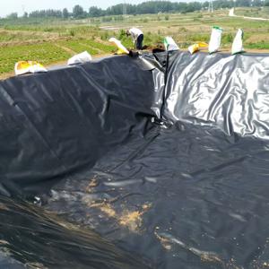 TEMU 1개, 어항 방수 필름 물고기 풀 방수 천 특수 경사 보호 플라스틱 필름 HDPE 지오멤브레인 정원 연못 및 야외 사용용 방수 필름, 누출 방지 | 광택 마감 | 환경 보호|수경