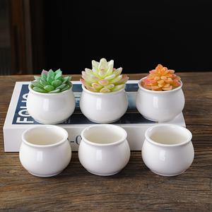 TEMU 6개 클래식 세라믹 플랜터 포트, 배수 구멍이 있는 둥근 흰색 - 수кул 및 작은 식물에 적합, 실내 및 실외 사용, 간단한 현대 스타일, 식물용 포트