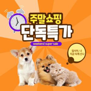 [주말특가] 강아지,고양이 인기사료,간식모음