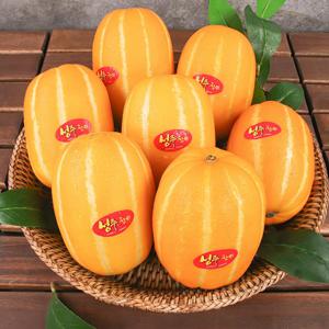 성주 옥황꿀참외 1kg~3kg 가정용(랜덤과) / 정품(꼬마/중/대과)