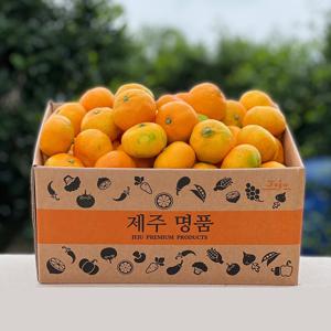 산지직송! 제주 감귤 하우스감귤 노지감귤 타이백감귤 2.5kg 4.5kg
