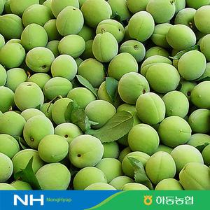 하동농협 청매실 매실 5kg 액기스 매실장아찌