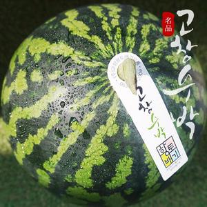[프레시데이][고창특산물] 명품 고창 수박 로얄대과 9kg미만 (선물용)