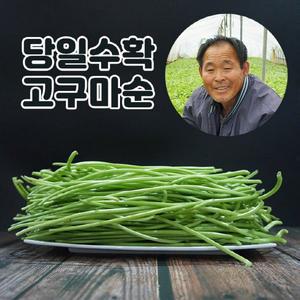[미스터팜팜]나물 당일채취 이영만 생고구마순 고구마줄기 청대 2kg 잎제거