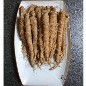 횡성더덕농가 직접재배 판매  중품1kg