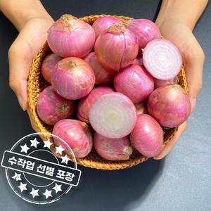 아삭아삭 맛있는 샬롯 중국모충 미니양파 Shallot 3kg