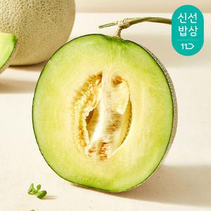 [산지발송] 향긋한 프리미엄 고당도 머스크 메론 1.6kg 이상 (1입/로얄과)