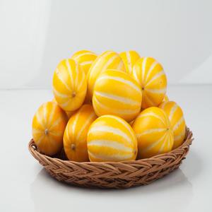성주 고당도 실속형 참외 중소과(36-50과내외) 10kg