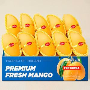 [수플린] 항공직송 고당도 태국골드망고 4kg(8~16입/로얄과)