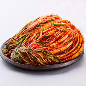 전라도식 해풍맞은 땅끝배추 포기김치 10kg