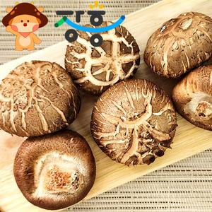 산지발송 장흥 표고버섯 못난이 1kg / 가정용 버섯 참나무재배