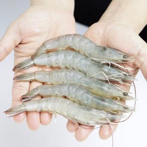 냉동 흰다리새우 2kg 30-40 페루
