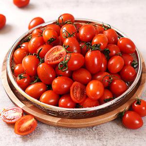 [품질보장] 대추방울토마토 로얄과 2kg (1~3번 과 혼합)