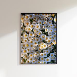 [롯데백화점]올웨이즈파인 올웨이즈파인_인테리어포스터 Daisy (A2포스터 단품)