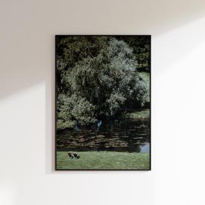 [롯데백화점]올웨이즈파인 올웨이즈파인_인테리어포스터 Calm, Green (A2포스터 단품)