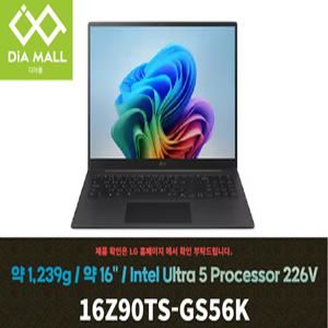 LG전자 2025 그램 프로16 16Z90TS-GS56K SSD 1TB교체+무선마우스+패드  KW