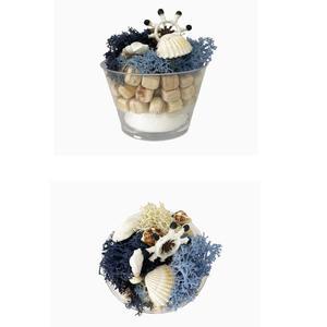 여름 투명컵 편백나무칩 조개 모스 장식 방향제 만들기 5p diy키트 집콕놀이 DIY