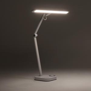 [본사직영] 덱스탑 데스크 LED 스탠드 라이트 PRO