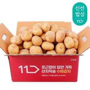 [품질보장] 25년산 햇 감자 대 3kg