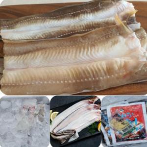 통영 자연산 손질 바다장어 대왕 붕장어 1kg 1-3미+소스2종 세트