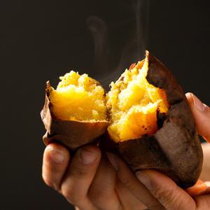 전남 해남참농가 세척 끝 바로 조리 가능 세척 꿀밤고구마 10kg 중상
