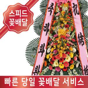 부산 기장군꽃배달 기장군 개업화환 축하화환 당일 스피드플라워