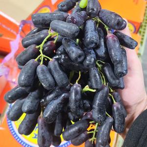 수입 고당도 씨없는 블랙사파이어 포도 가지포도 1kg