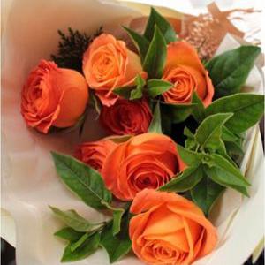 에밀리정원  클라란스  장미 생화
