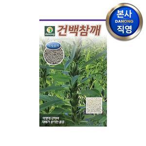 [다농]건백 참깨 (코팅 종자) 씨앗 20000립 . 텃밭 채소 파종 재배 씨 종자