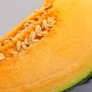 [함안] 노을 멜론 칸탈로프메론 고당도 레드 제철과일