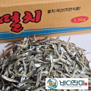 바다찬미 국내산 햇 가이리멸치 자멸 1.5kg 원물박스 / 고추장 찍어먹는 멸치 안주용 볶음용 건어물