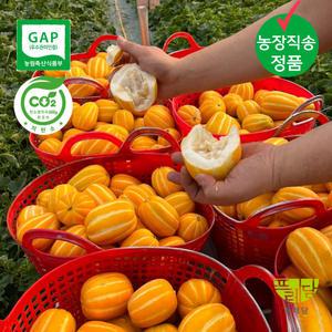 성주 참외 농장직송 소과(일반용) 5kg