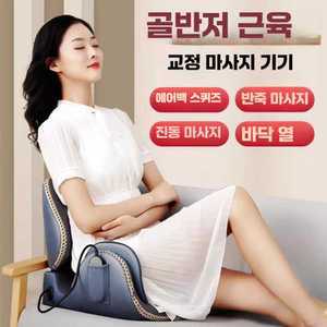 에이패스이 골반마사지기 좌식 진동 지압기 의자형