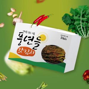 업소용 식당용 국밥집 중국산 10kg 풍년들 갓김치